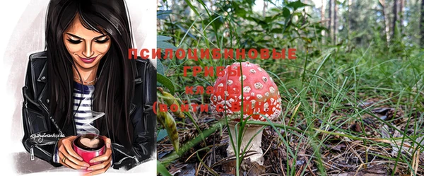 эйфоретик Тихорецк