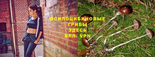 хмурый Тихвин