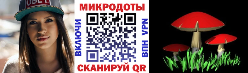 Псилоцибиновые грибы Psilocybine cubensis  блэк спрут онион  Иноземцево 