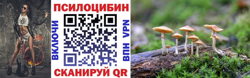 Псилоцибиновые грибы Cubensis Иноземцево
